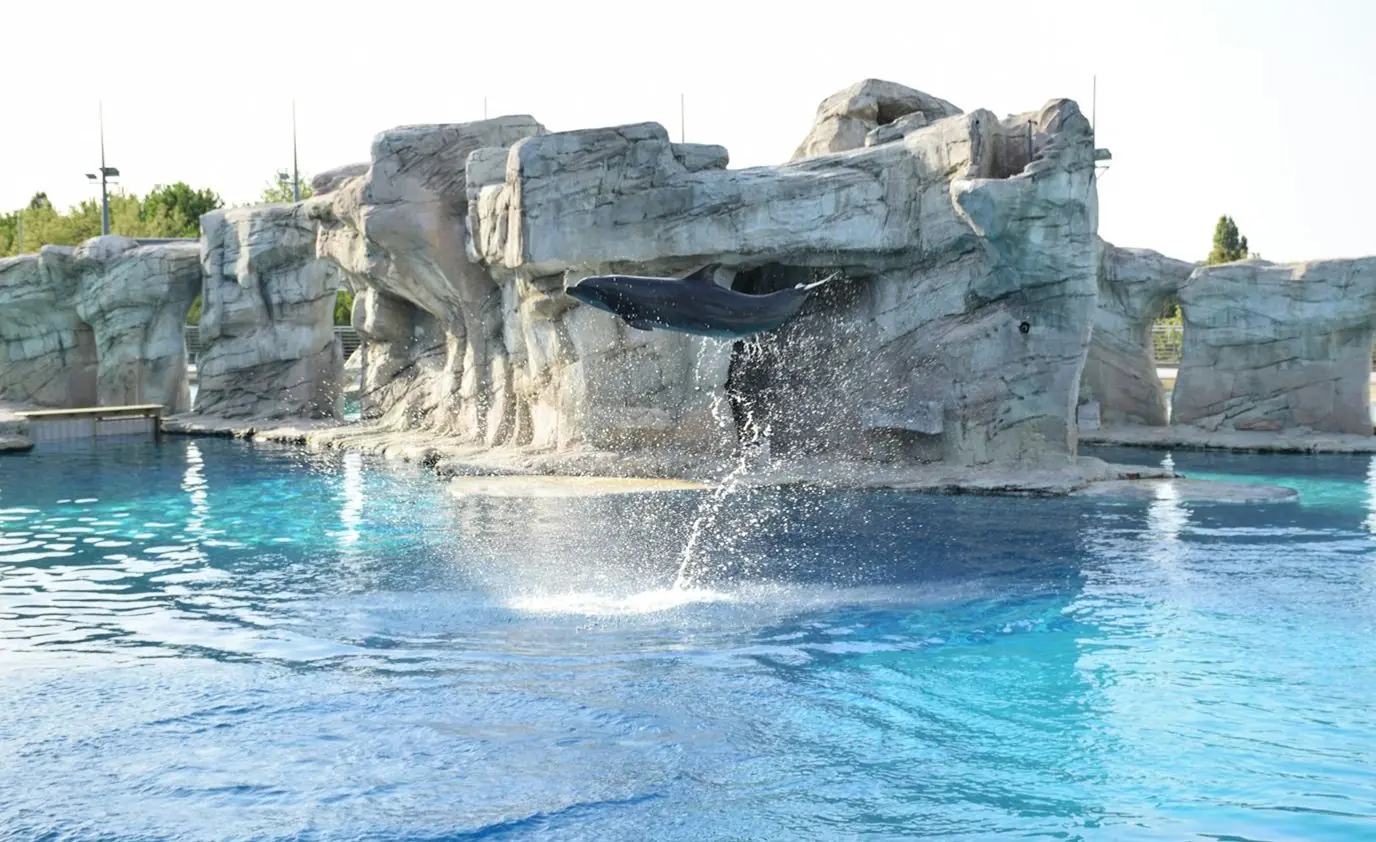 Custom pool water feature by Heavenly Outdoor in Tomball, Texas